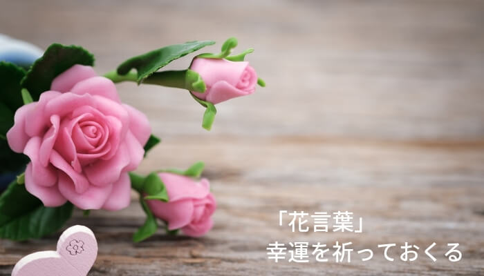 タッジーマッジーはご存知 幸運を祈って送る花束 花言葉 Sarari Note
